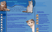 Scottish Fold und Britisch Kurzhaar Rassekatzen Scottish Fold und Britisch Kurzhaar Rassekatzen