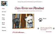 Cairn Terrier von Abendland