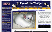 Eye of the Thaiger - Hobby Thaikatzenzucht - Thaikatzen, Siamkatzen vom alten Typ