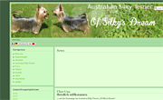Australian Silky Terrier Australian Silky Terrier