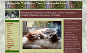 Norwegische Waldkatzen in Thüringen vom Traumzauberbaum